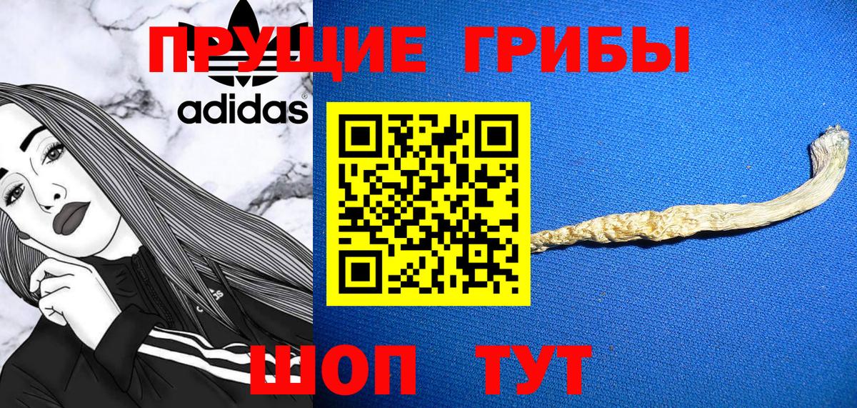 Галлюциногенные грибы GOLDEN TEACHER  Вход с VPN  Псилоцибиновые грибы Psilocybine cubensis  Рославль 